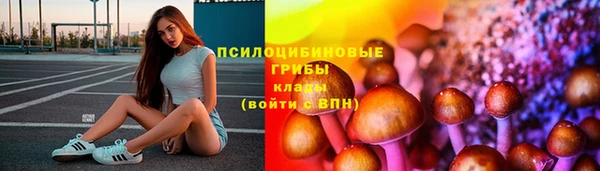 стафф Алексеевка