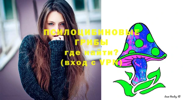 эйфоретик Саяногорск