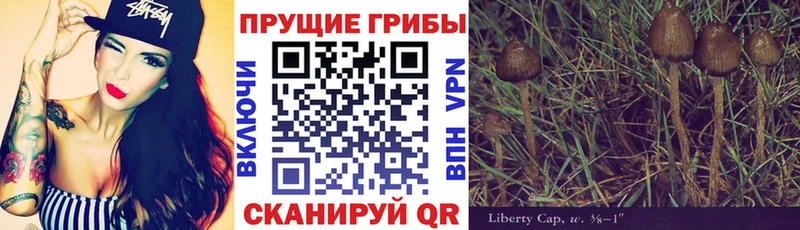 Псилоцибиновые грибы GOLDEN TEACHER Киселёвск
