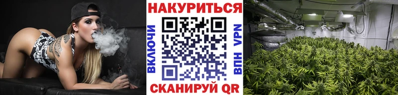 сколько стоит Киселёвск Шишки марихуана Ganja